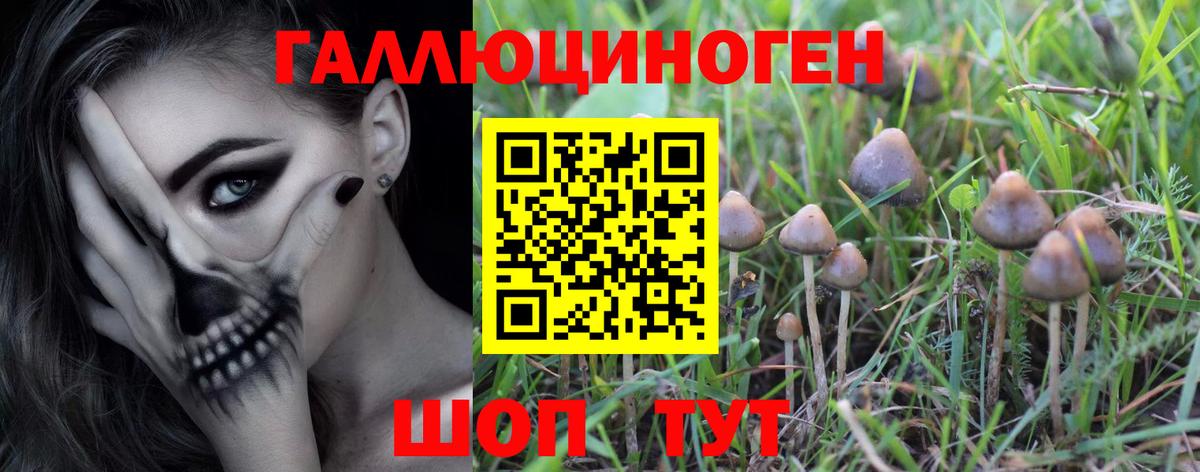 Старая Купавна  Псилоцибиновые грибы ЛСД  купить   Вход с VPN 